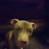 johndillinge884